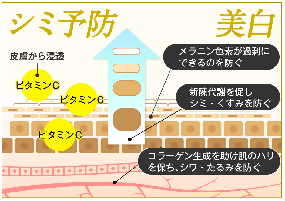 使用者のほぼ全員が成功 ビタミンcのチカラ でシミが薄くなる 口コミサイトで第1位の神アイテムが凄すぎ Grapps グラップス