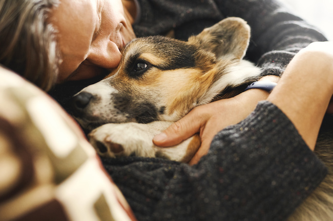 彼氏には犬系男子がおすすめ 犬系男子の特徴と攻略法 Grapps グラップス