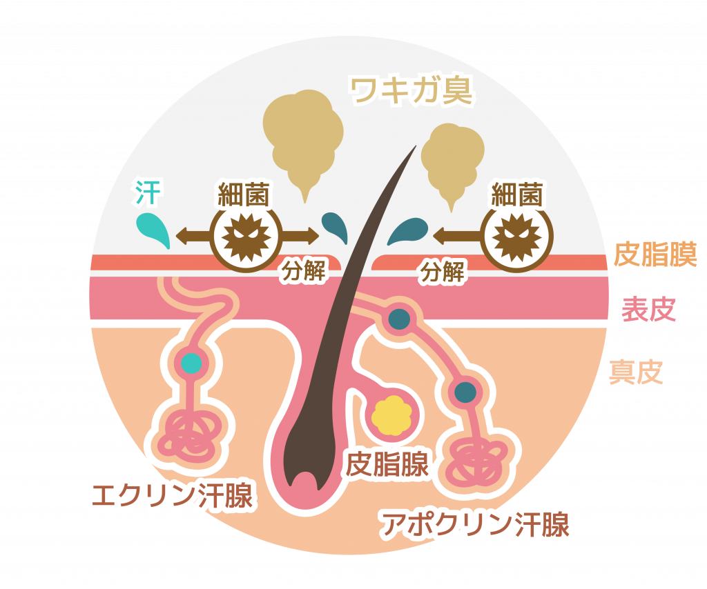 悲報 娘がこんなに悩んでいたなんて 小学生なのに Grapps グラップス