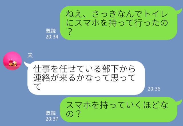 【怪しい】トイレまでスマホを持っていく夫→妻が隙を見てスマホを確認すると、妊娠中に”衝撃の事実”が発覚！