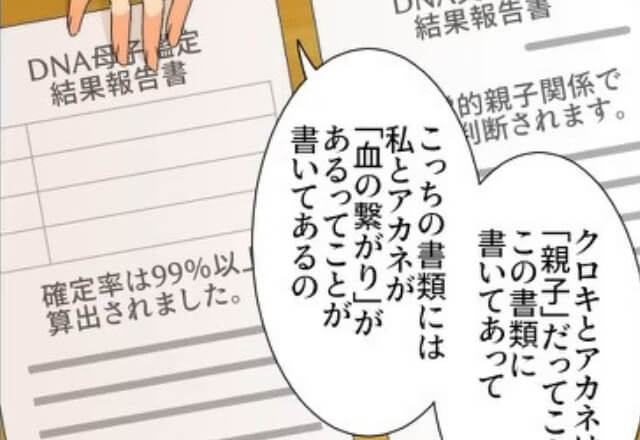 母「親子関係は証明されていないの」娘に渡した“2枚の書類”⇒母のついた嘘には【壮絶な過去】が関係していた！？【漫画】