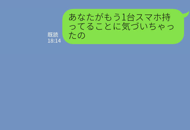 妻『あの時の出張って…』夫の“2台目のスマホ”を見つけた妻…中を覗くと⇒【3年間の裏切り】が詰まっていた…！？