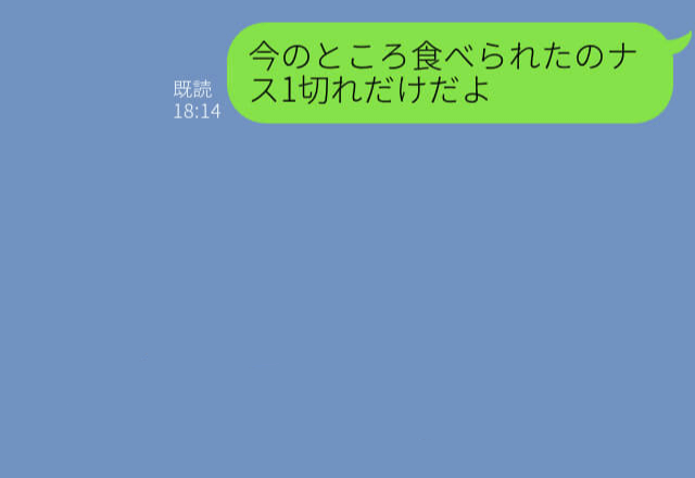 旦那不在の義実家BBQ…嫁『ナス1切れしか食べてない』！？義妹を溺愛する義母による【イビリ】に耐え切れない…