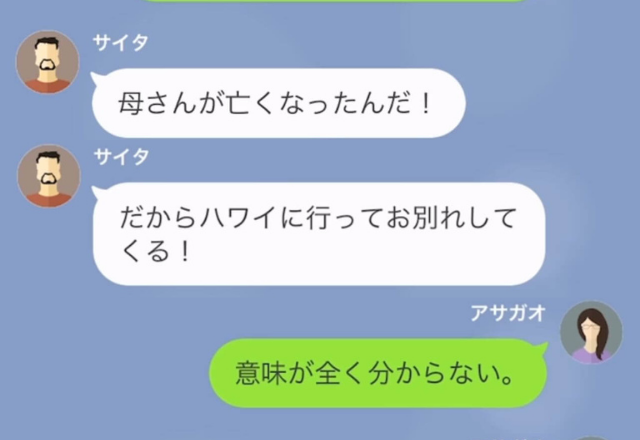 急逝した母を見送るため、“ハワイ”に行くという夫。しかし⇒『お義母さんって…』妻の“核心を突く一言”に夫、タジタジ！？【漫画】