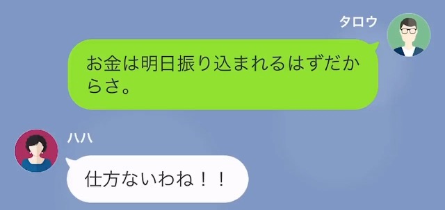 息子「明日振り込むから…」母「仕方ないわね」金の無心を繰り返す母。息子の申し出を”渋々”受け入れたのには理由があった！？