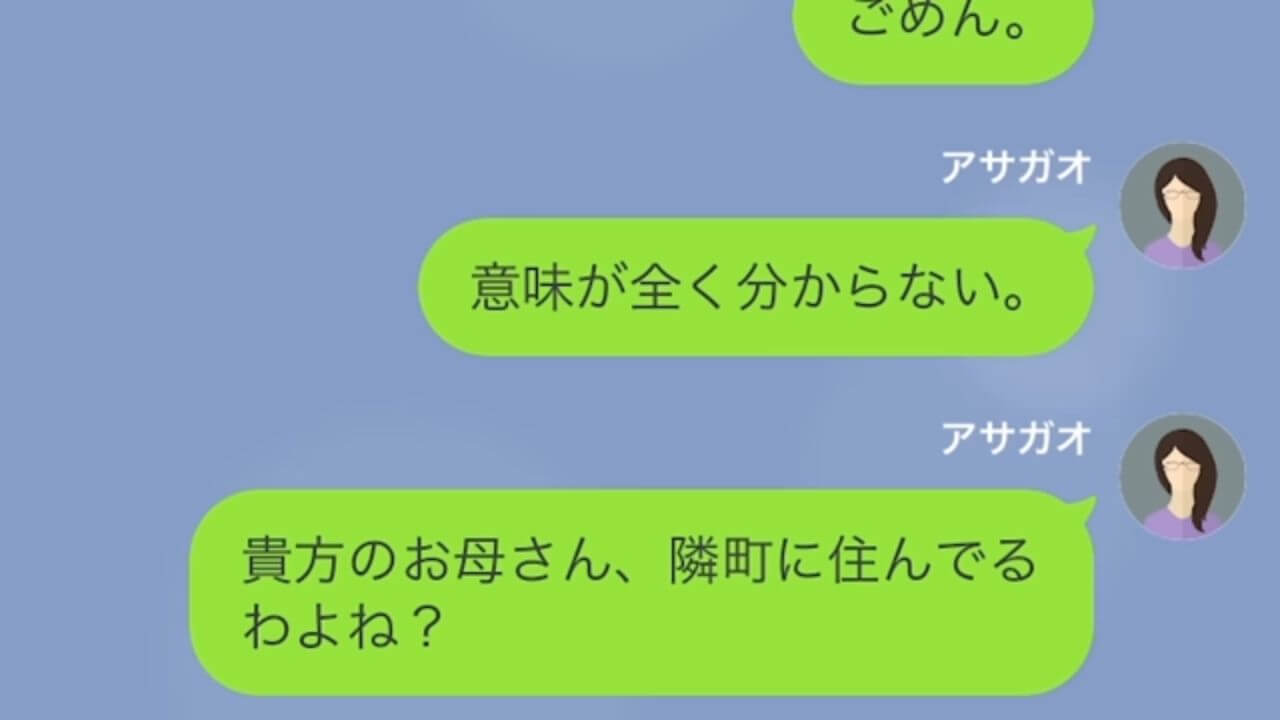 夫からのLINE「母さんが亡くなったから海外の葬式に行く！」妻「隣町に住んでるのに？」不審に思う妻だが…⇒夫に”まさかの事情”を聞かされ…妻「え？」