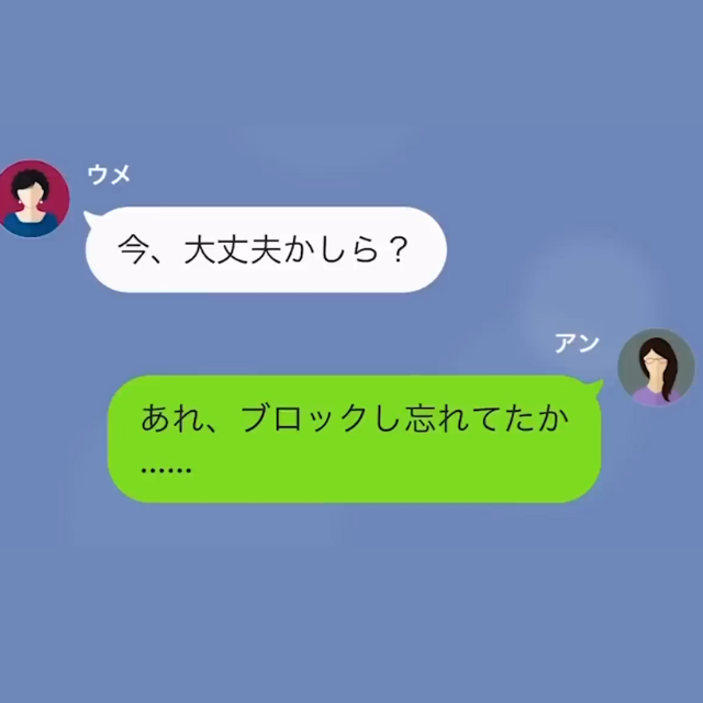 義母「月10万円じゃ足りない」嫁「これ以上は無理」”仕送り増額”を拒んだ途端、豹変した義母。数ヶ月後⇒突然届いた1件の”SOS連絡”に「は？」